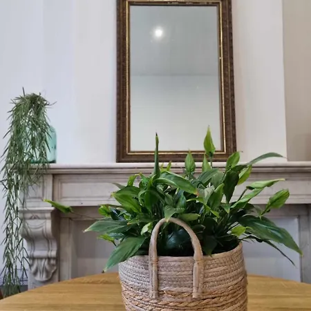 Le Vauban كامبراي